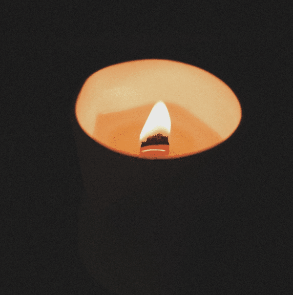 SENCOLOGY - Candle Wilderness - Image 3