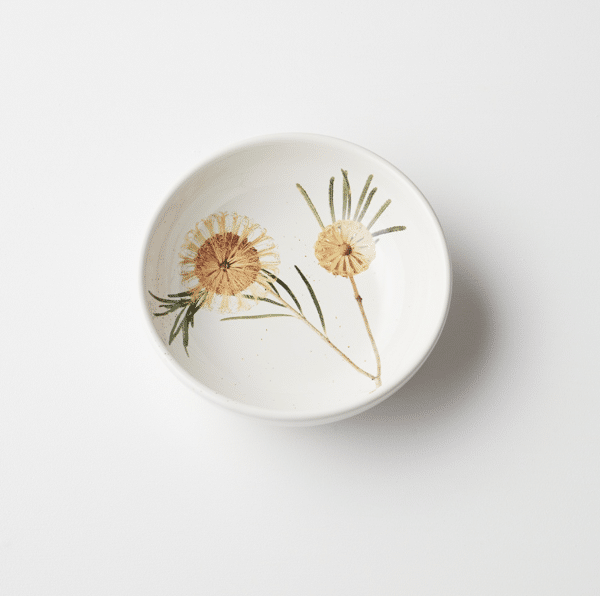 Angus & Celeste - Macro Botanics, Hairpin Banksia Small