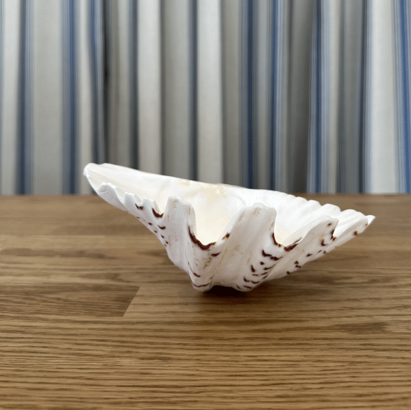 JACKA DESIGN - Sea Shell Strawberry Clam Half - Image 3