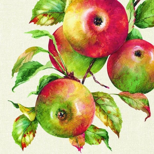 JACKA DESIGN – Napkins Home Grown Apples