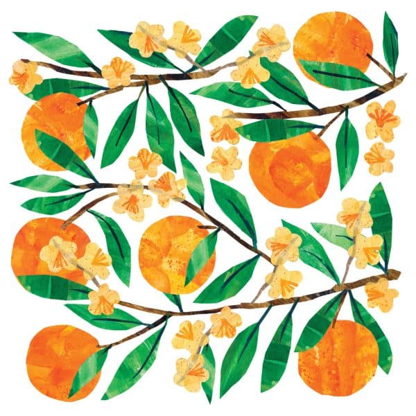 JACKA DESIGN – Napkins Orangina
