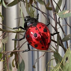 JACKA DESIGN - Decoration Ladybug