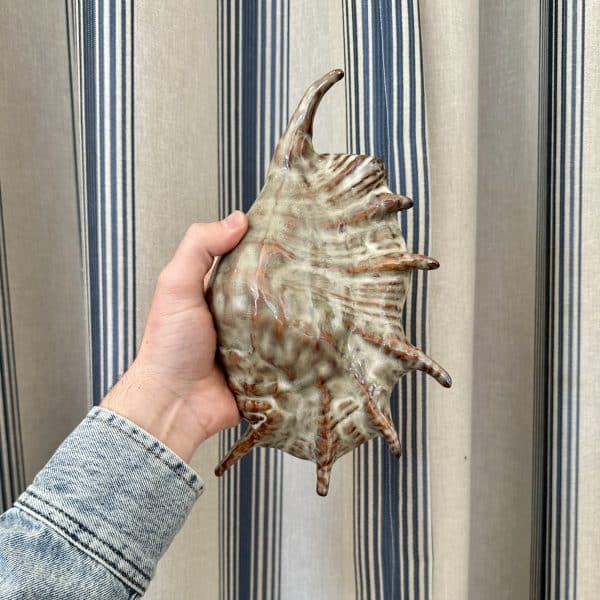 JACKA DESIGN - Ceramic Spider Conch Shell