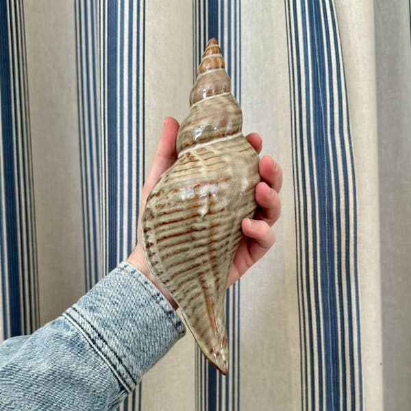 JACKA DESIGN - Ceramic Conch Shell