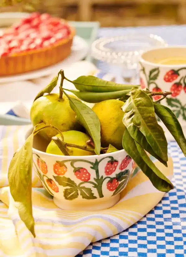 Emma Bridgewater - Spongeware Fruits Raspberries Small Old Bowl - Image 2