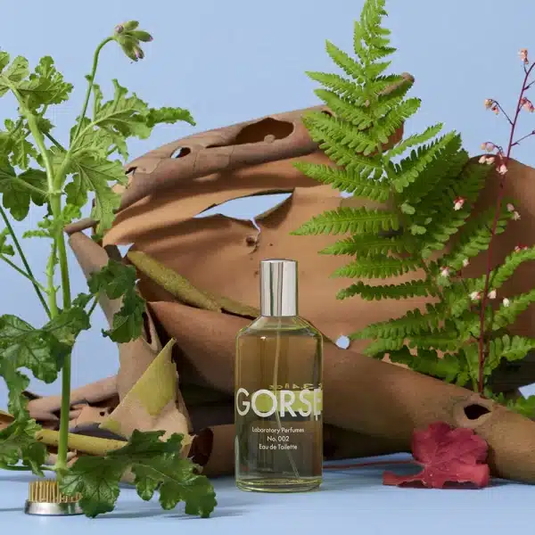 Laboratory Perfumes - Gorse - Image 2