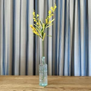 JACKA DESIGN - Paper Flower Wattle