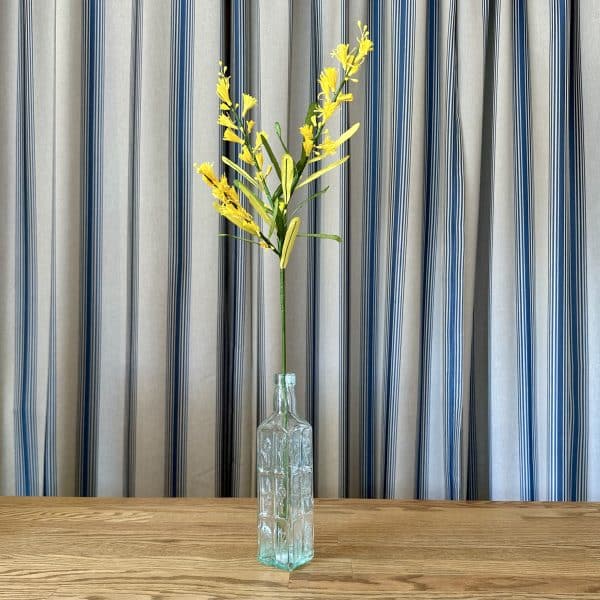 JACKA DESIGN - Paper Flower Wattle