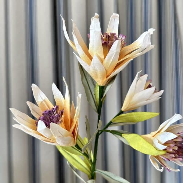JACKA DESIGN - Paper Flower Serruria Peach - Image 2