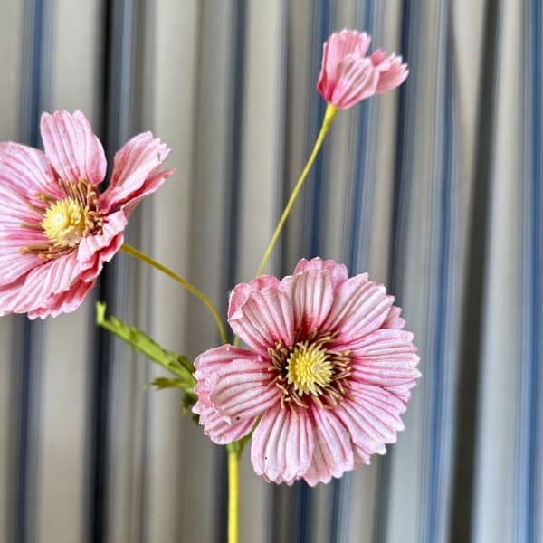 JACKA DESIGN - Paper Flower Cosmos Blush - Image 2