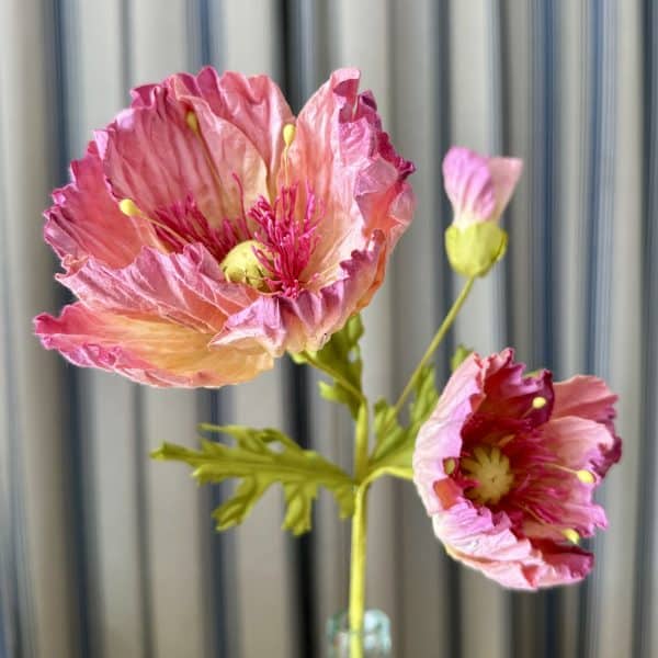 JACKA DESIGN - Paper Flower Poppy Blush - Image 2