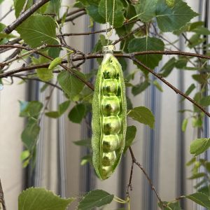 JACKA DESIGN - Decoration Garden Pea