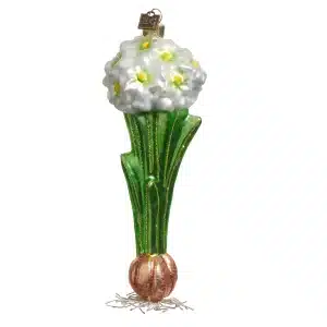 JACKA DESIGN - Decoration Garden Paperwhite