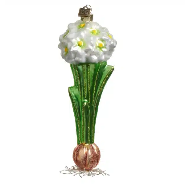 JACKA DESIGN - Decoration Garden Paperwhite