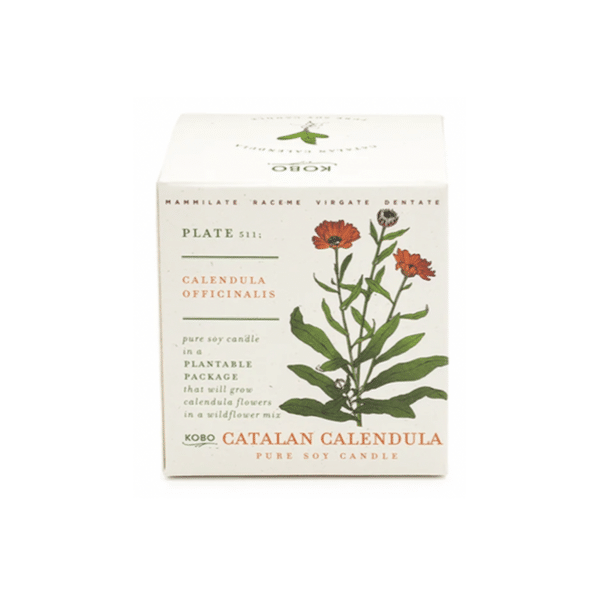 KOBO - Catalan Calendula Candle - Image 2