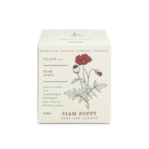 KOBO - Poppy Candle - Image 2
