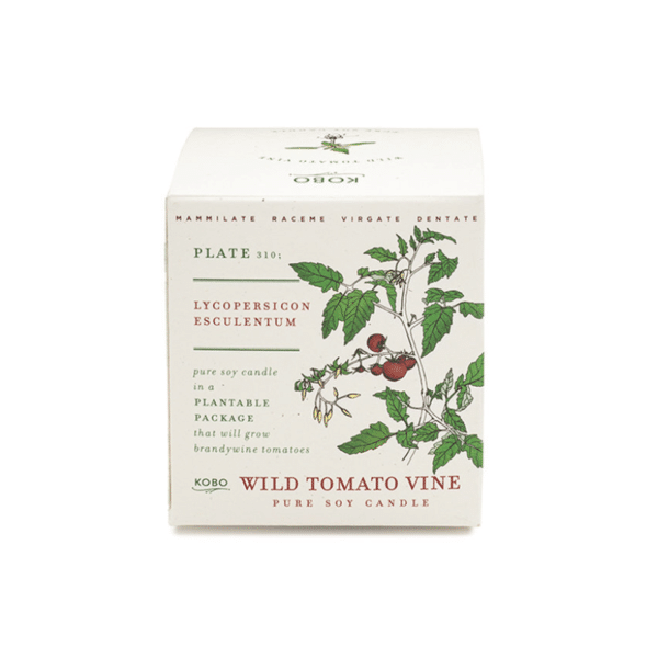 KOBO - Tomarto Vine Candle - Image 2