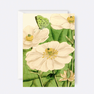 Madame Treacle - Card White Flowers