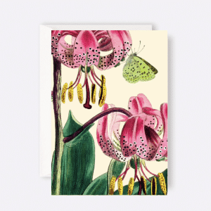 Madame Treacle - Card Lilies