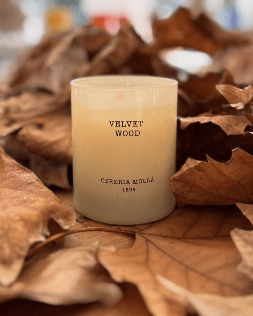 Velvet Wood candle styled with autumn leaves by JACKA DESIGN