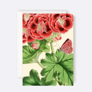 Madame Treacle - Card Red Flowers