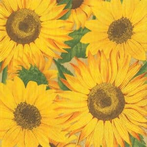 Napkins - Caspari Sunflowers