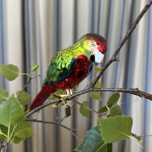 JACKA DESIGN - Decoration Macaw Parrot