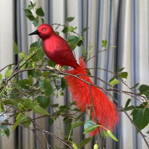 JACKA DESIGN - Decoration Paradise Bird