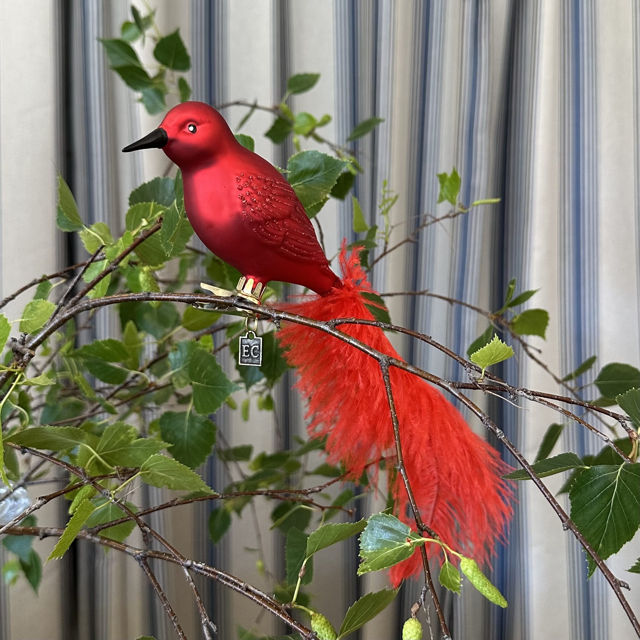 JACKA DESIGN - Decoration Paradise Bird